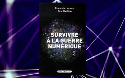 Survivre à la guerre numérique, de François Levieux et Eric Meillan