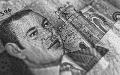 Mohammed VI, vingt ans de règne : quel bilan ?