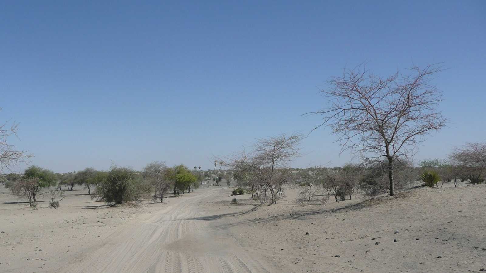 La contre-insurrection nécessite de tenir les territoires. Ici une piste au Sahel (c) Pixabay