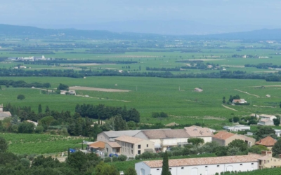 Les vins de Gigondas au milieu des dentelles