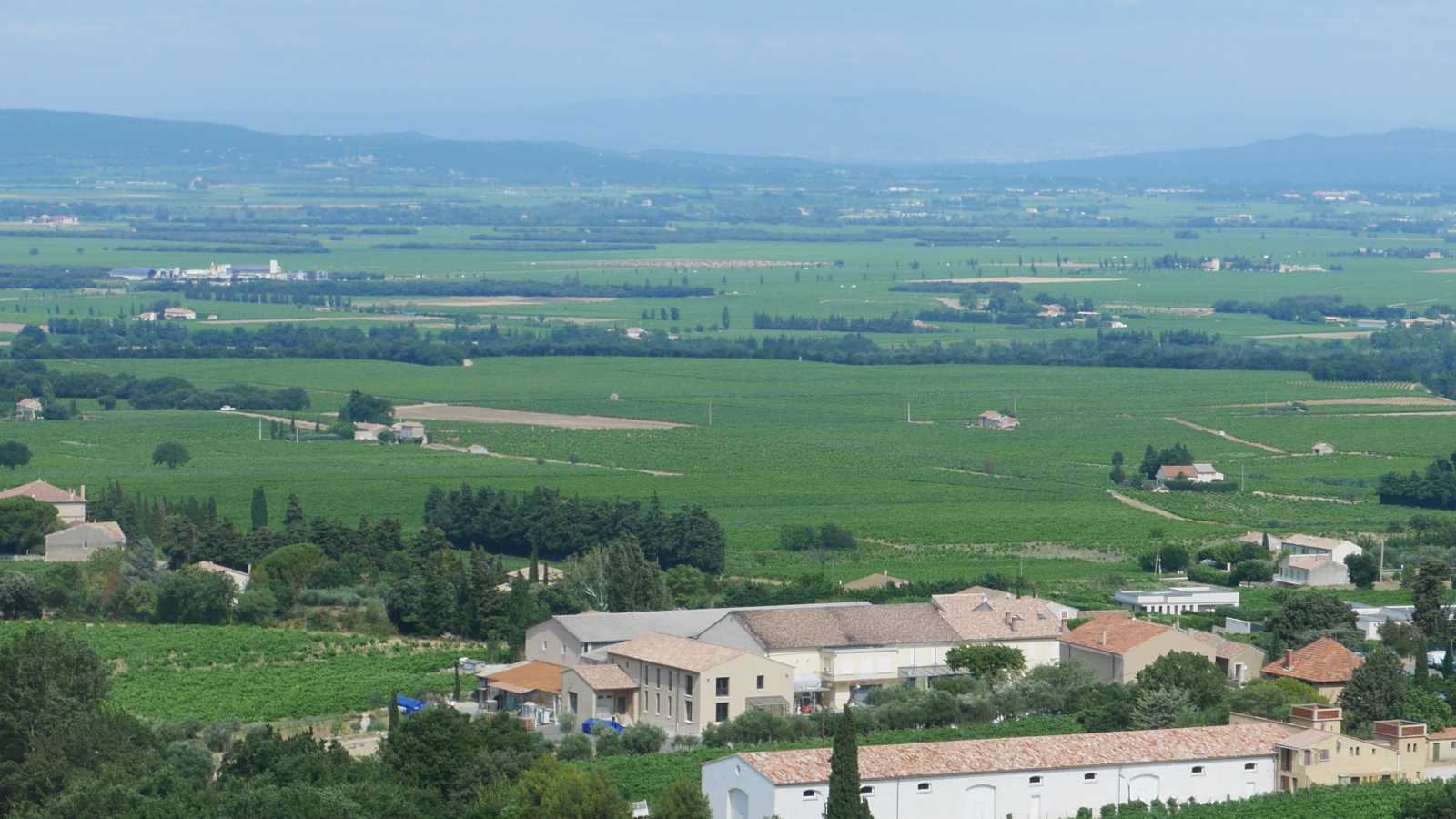 Les vins de Gigondas au milieu des dentelles