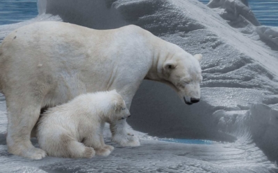 Quand les médias annonçaient le refroidissement climatique