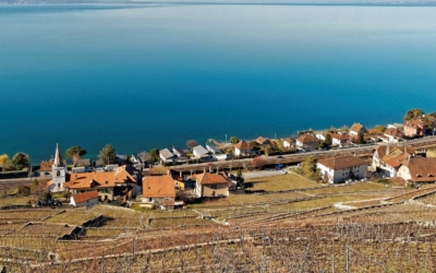 Le vignoble méconnu de Lavaux