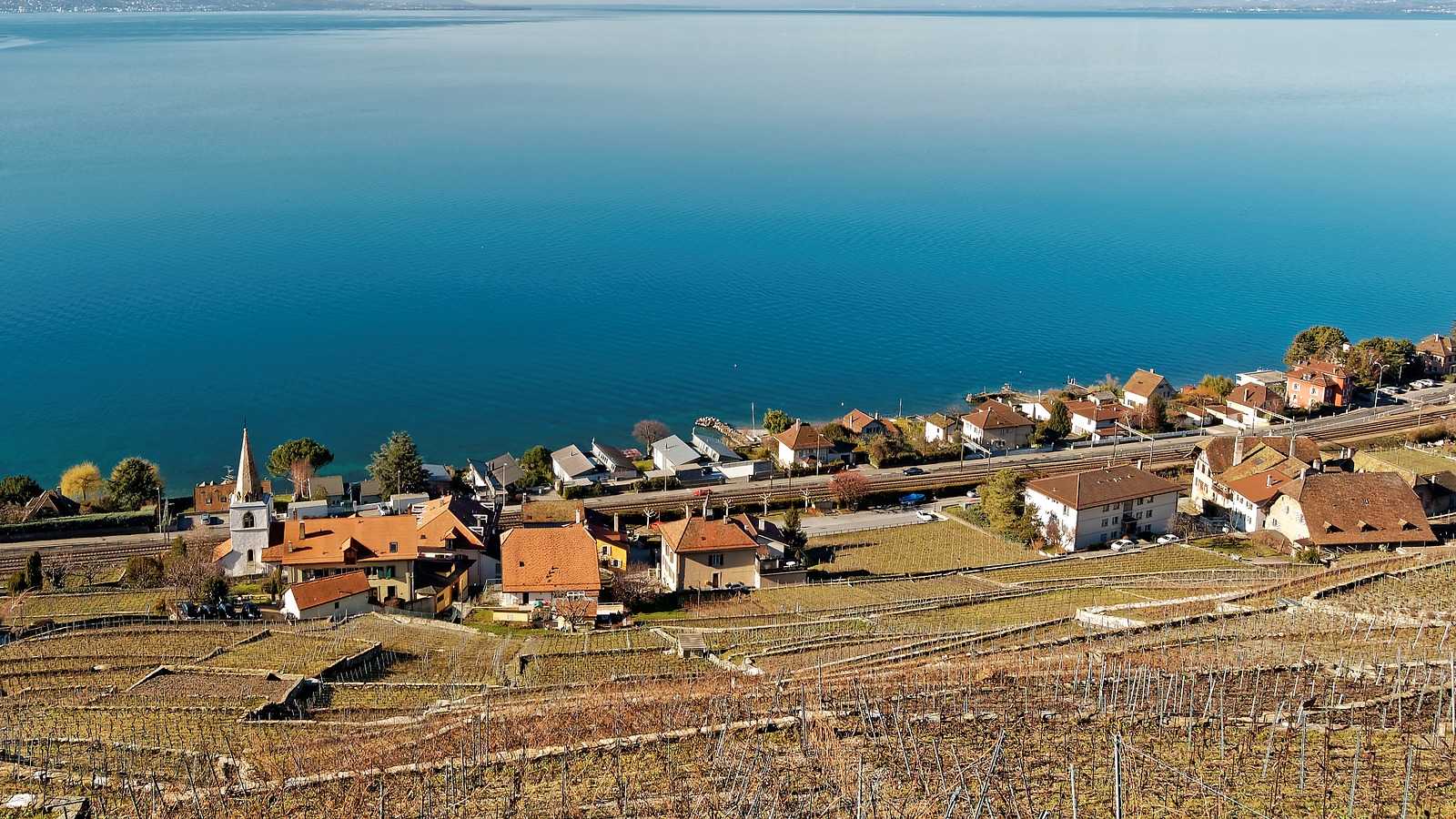 Le vignoble méconnu de Lavaux