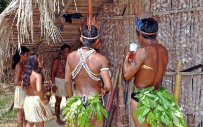 Les Indiens au XXIe siècle : mythes et réalités. Présentation