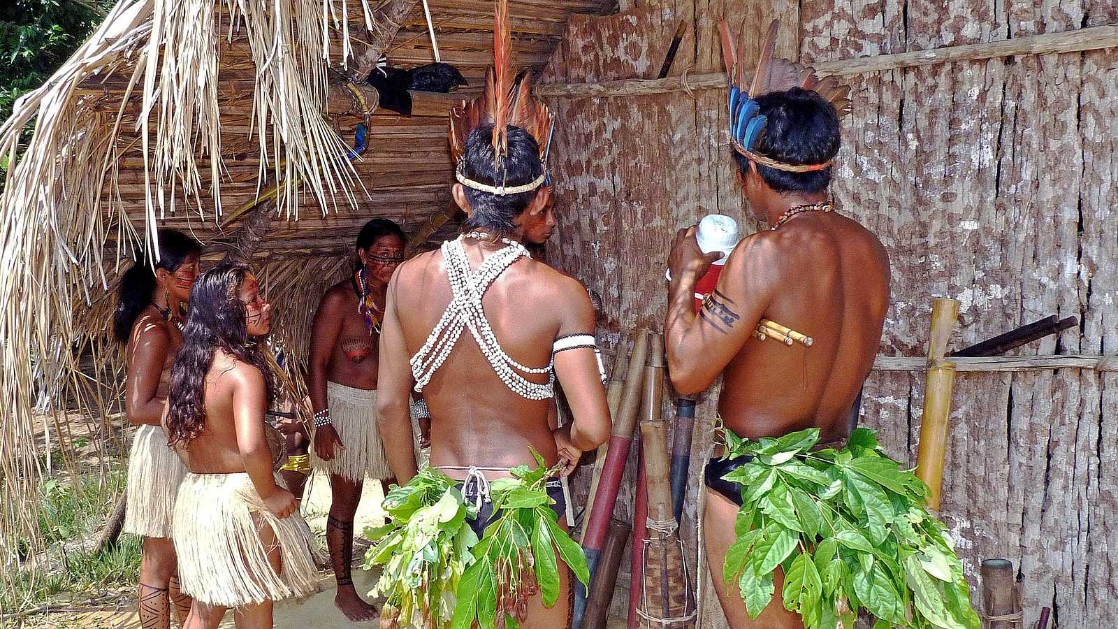 A qui appartient l'Amazonie ? Aux Indiens ou au monde ? (c) Pixabay