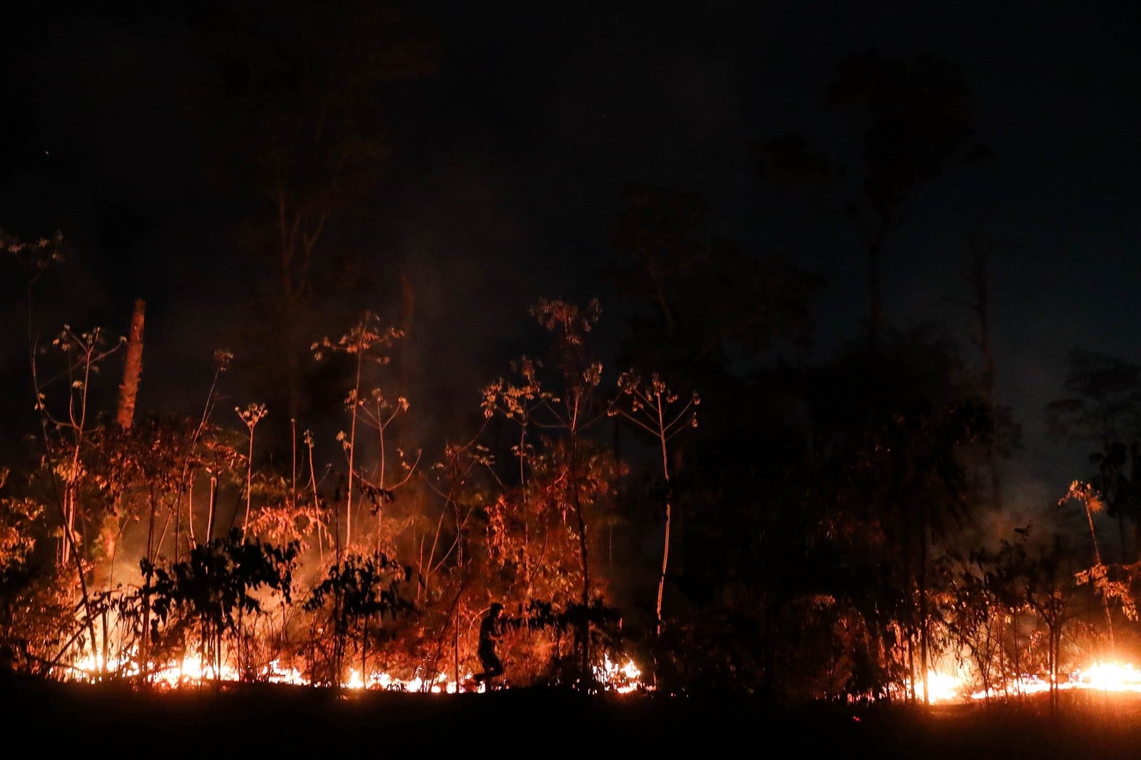 L'Amazonie brésilienne a perdu prés d'1 698 km 2 de sa couverture végétale en août 2019,
Auteurs  : Fernando Bizerra Jr/EFE/SIPA,
Numéro de reportage  : 00922989_000006.