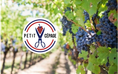 Petit Cépage : la mode des terroirs