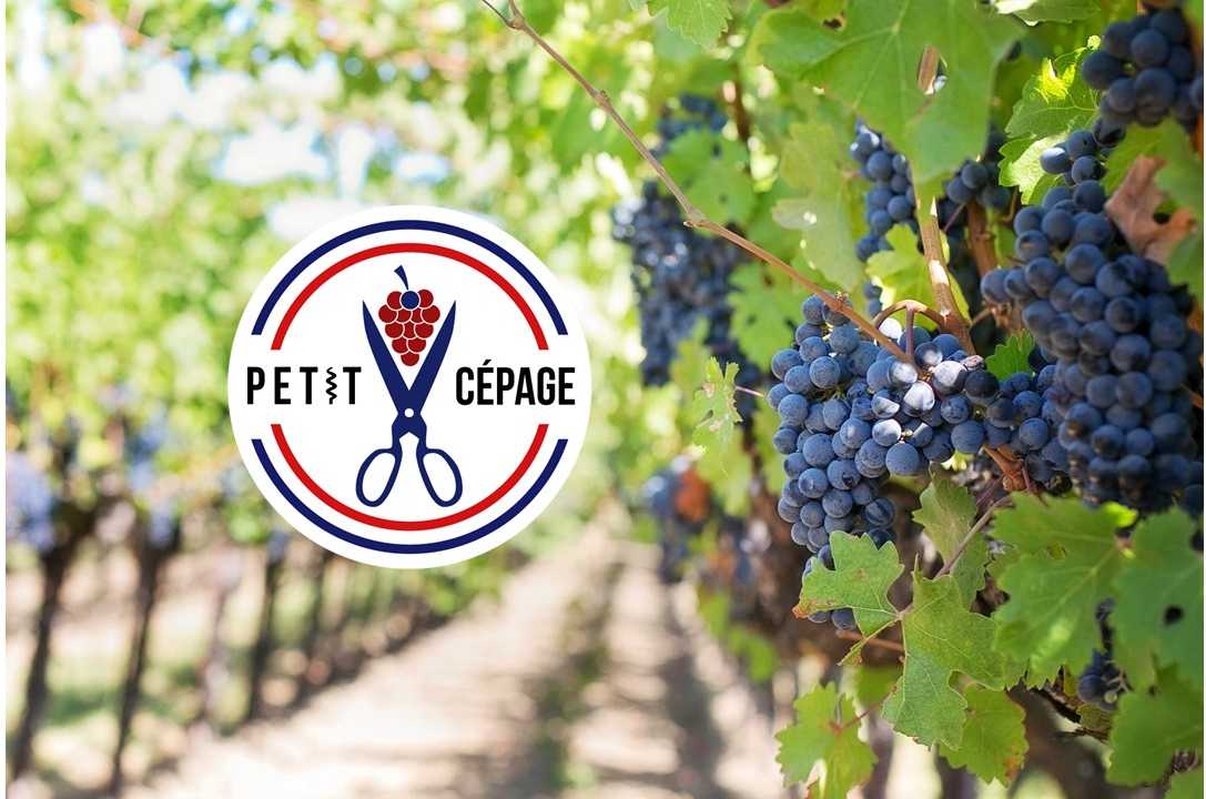 Petit Cépage : la mode des terroirs