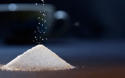 Le sucre : une énergie pour la puissance