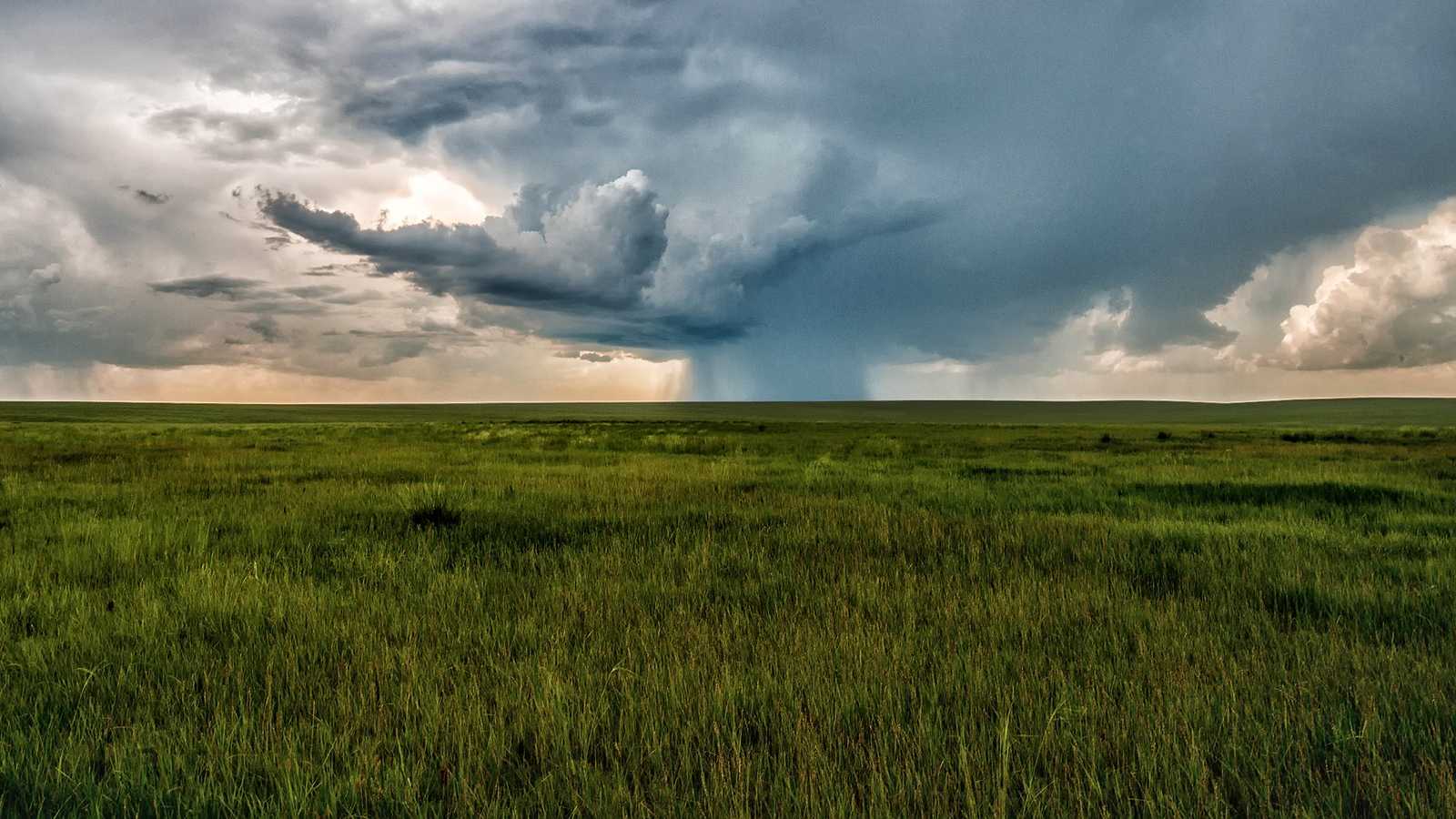 La steppe, le cœur de l'Eurasie (c) Pixabay