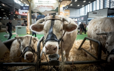 10 mn de géopolitique – Tous au Salon !