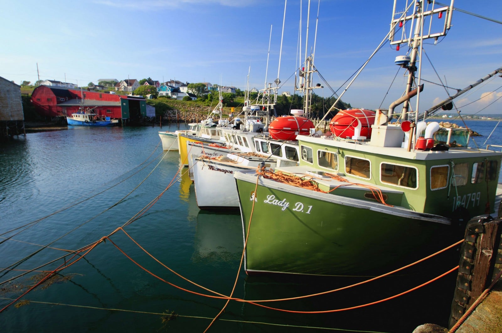 Bateaux de pêche dans un port en Nouvelle-Écosse au Canada,
Auteurs  : SUPERSTOCK/SUPERSTOCK/SIPA,
Numéro de reportage  : SUPERSTOCK45261829_000001.