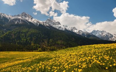 Les langues en Suisse : Un fonctionnement réglé comme une horloge ?