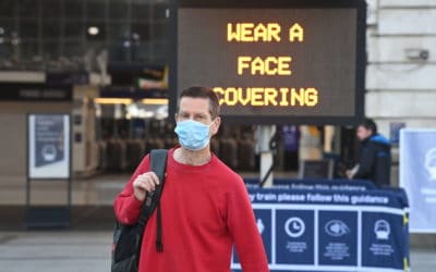 La crise sanitaire comme disruption créatrice
