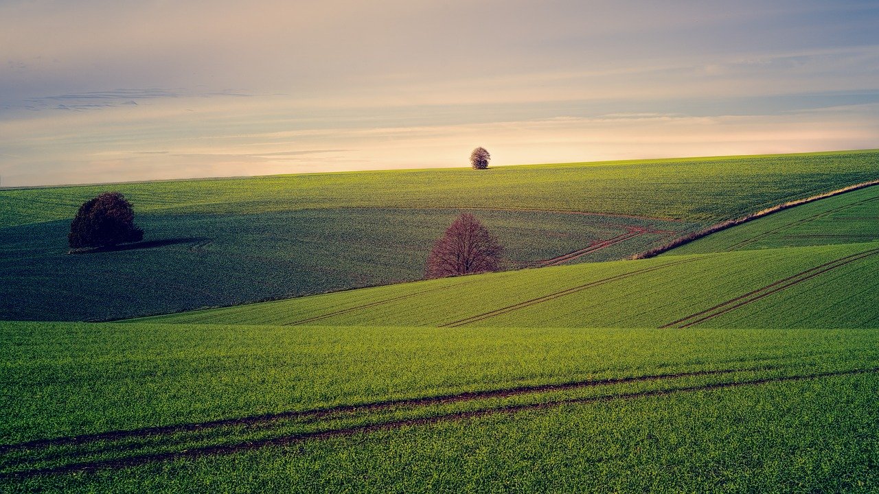 <i class='fa fa-lock' aria-hidden='true'></i> L’agriculture française : une mort par les normes