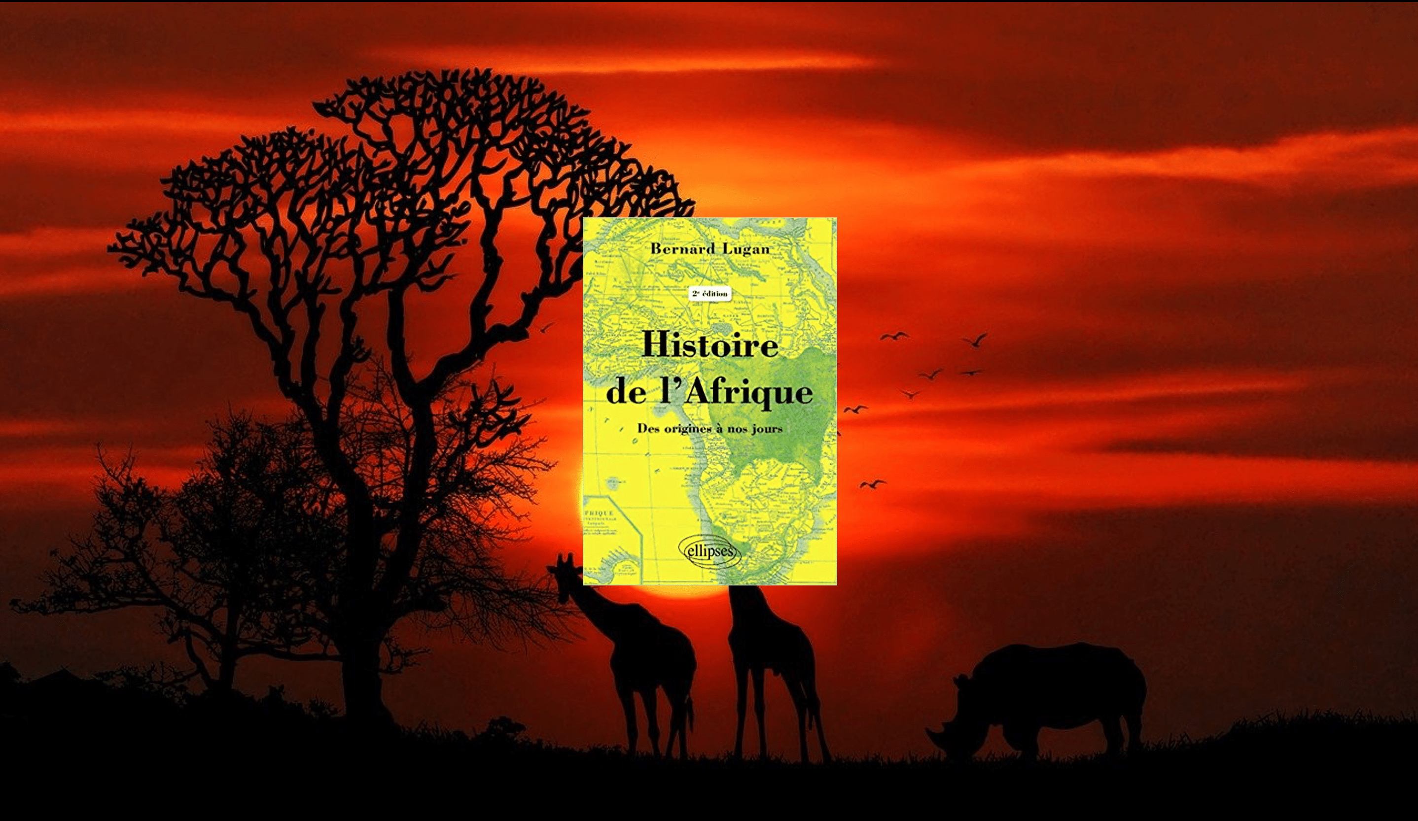 Livre – Toute l’Afrique, des origines à nos jours