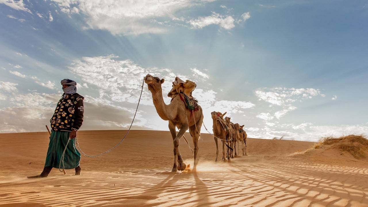 Nomades  conduisant leur caravane, au Nord de la Mauritanie. Le désert représente plus de trois quarts du pays. (c) Sipa 00949520_000010