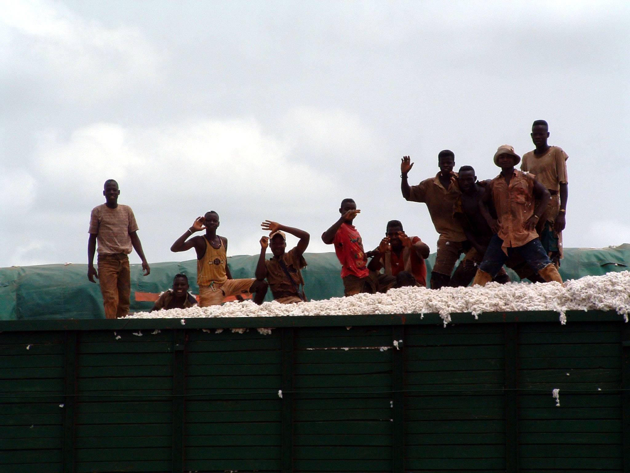 Ramasseurs de coton dans la région de Korhogo, en Côte d'Ivoire