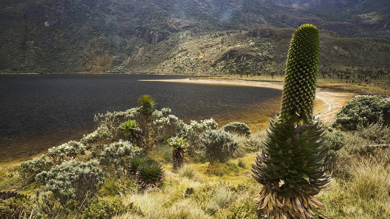 L’Afrique des Grands Lacs balkanisée ?