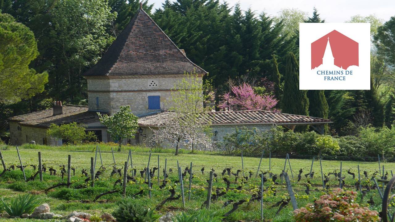 Chemins de France. Le vignoble de Gaillac