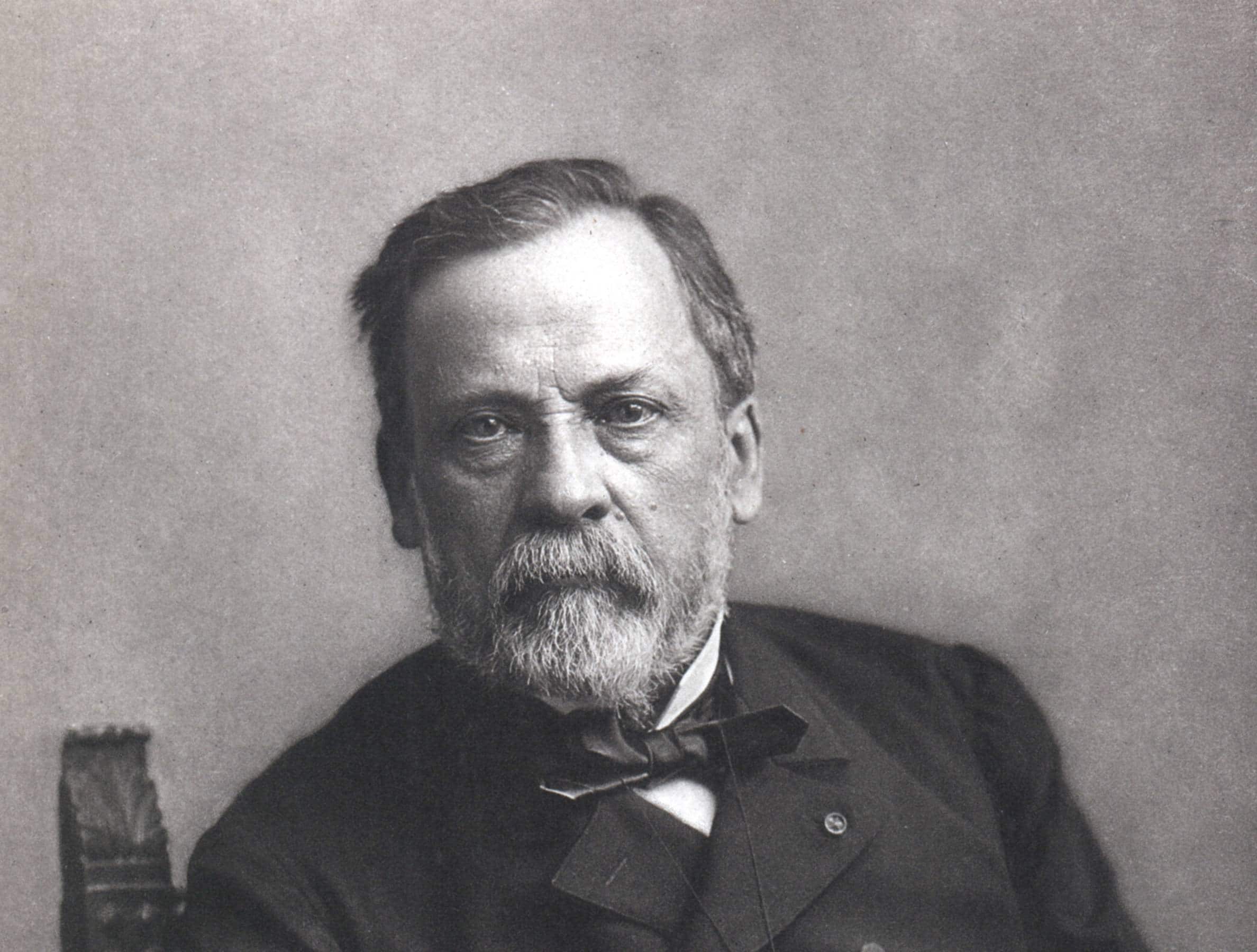 Scientific Identity, Portrait of Louis Pasteur