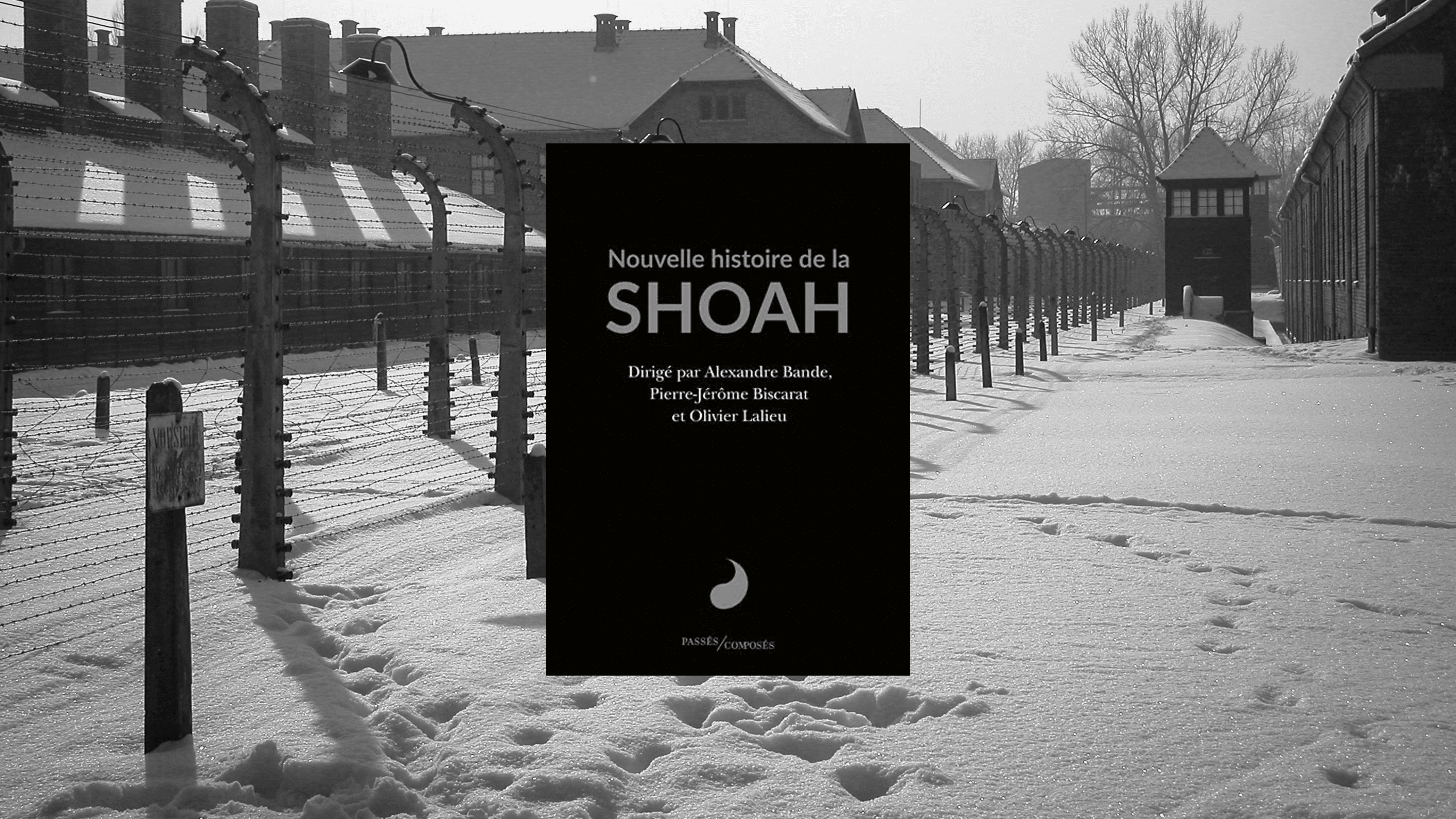 Livre - Nouvelle histoire de la Shoah. Crédit photo : Unsplash