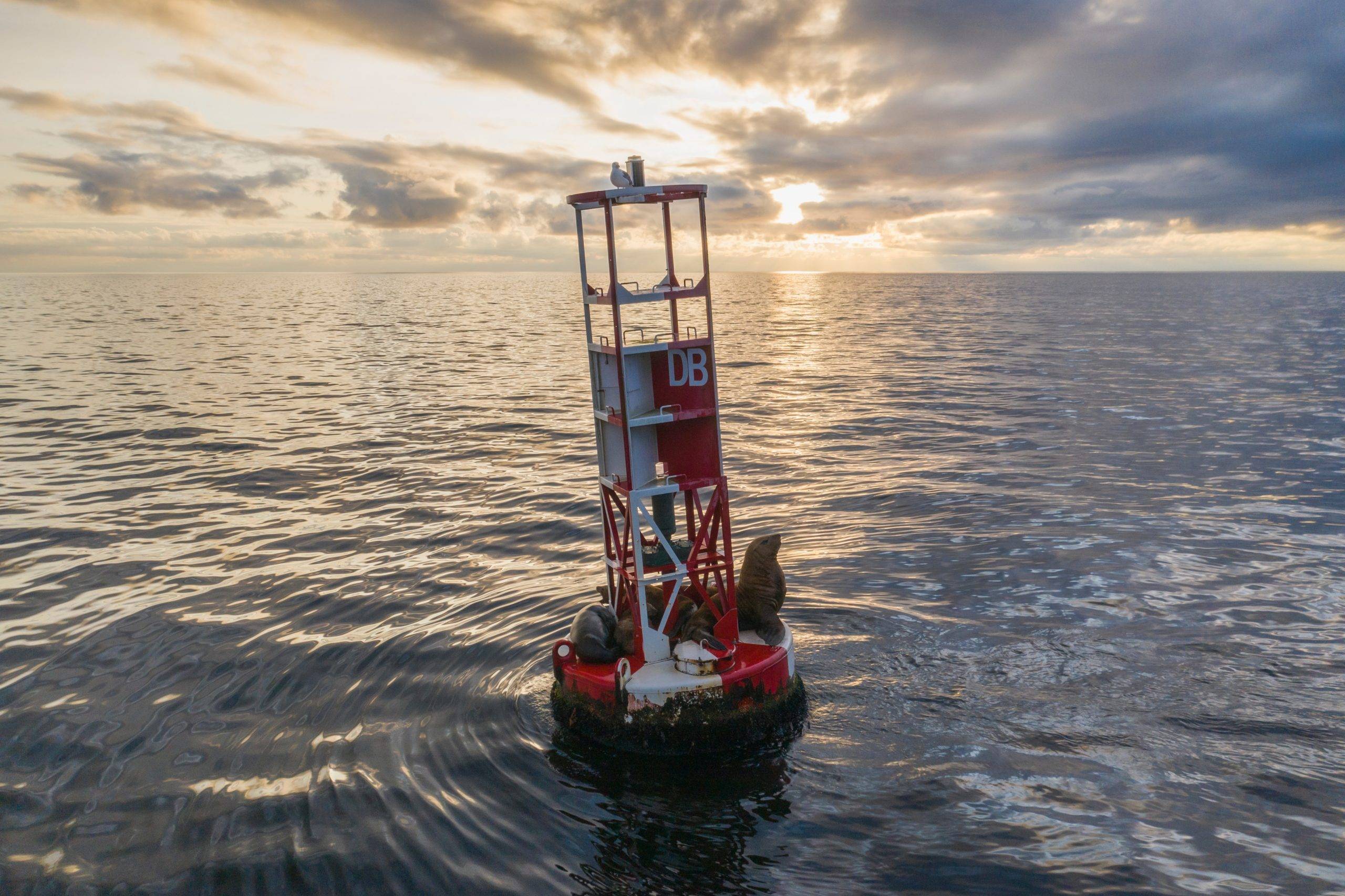 Les frontières maritimes, entretien avec Pierre Royer. crédit photo : Unsplash