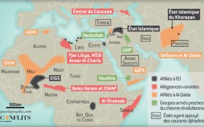 Des cartes pour comprendre le monde