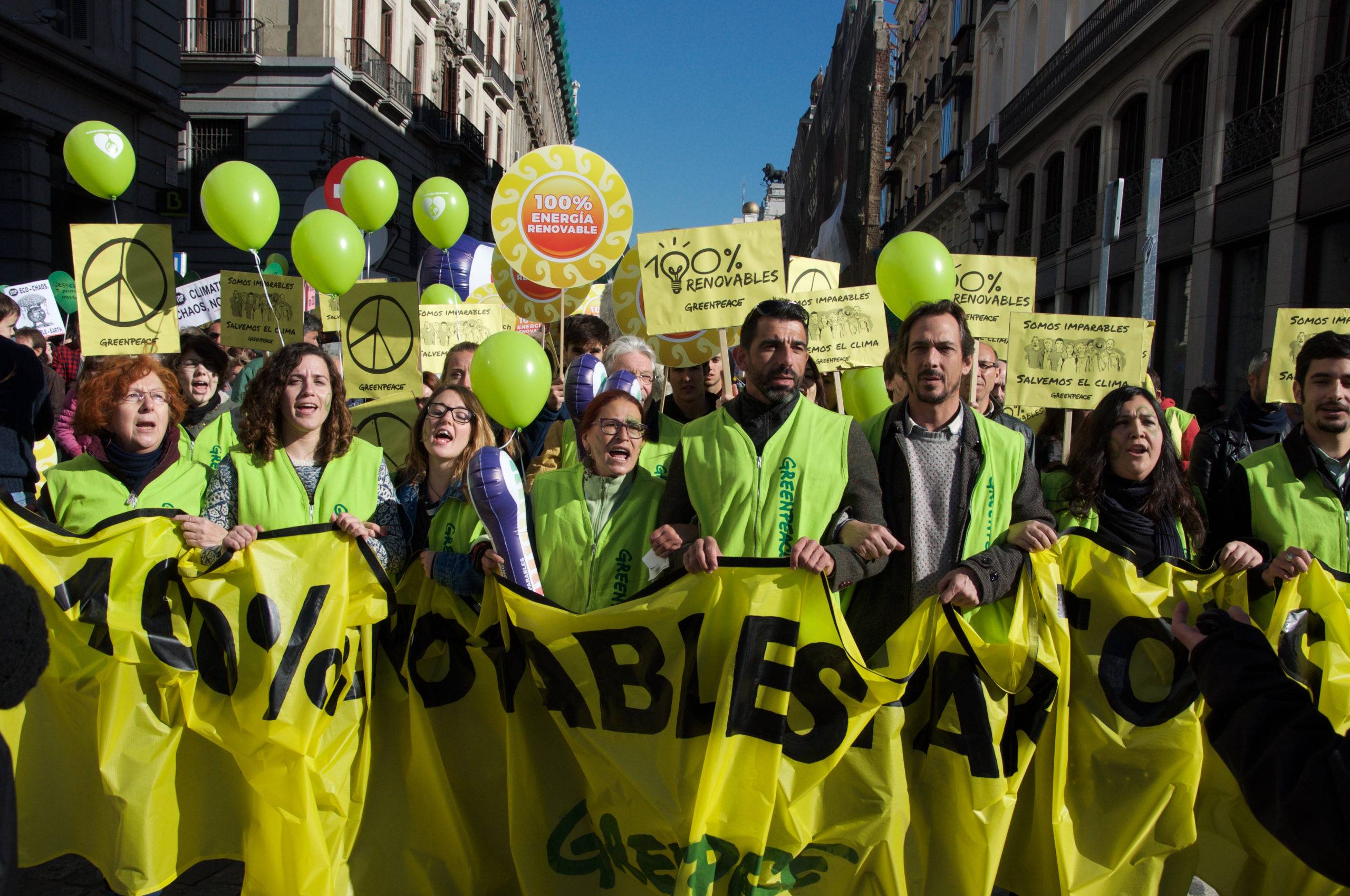 WWF, Greenpeace, TNC… Jusqu’où iront les défenseurs de l’environnement ? Crédit photo : Unsplash