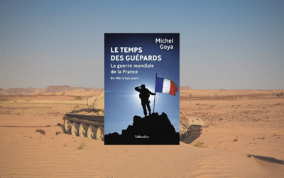La guerre mondiale de la France : le temps des Guépards – Michel Goya