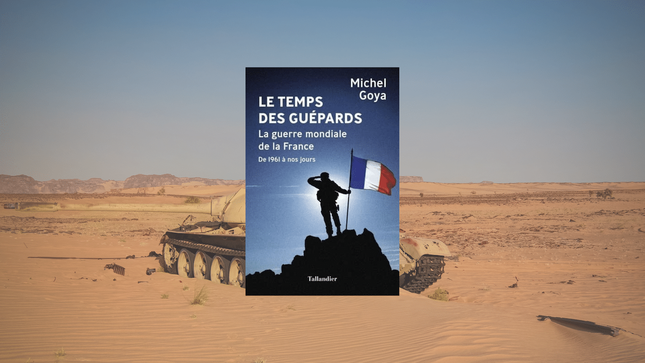 La guerre mondiale de la France : le temps des Guépards – Michel Goya