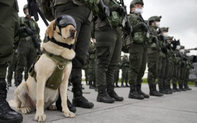 Narcotrafic : les réseaux colombiens à l’assaut des démocraties européennes
