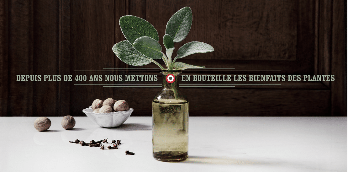 Les plantes mises en bouteille (c) Eau de mélisse