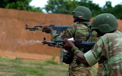 Face à la contamination djihadiste : comment le Bénin muscle son système immunitaire ?