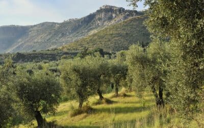 L’agroalimentaire : l’un des atouts italiens