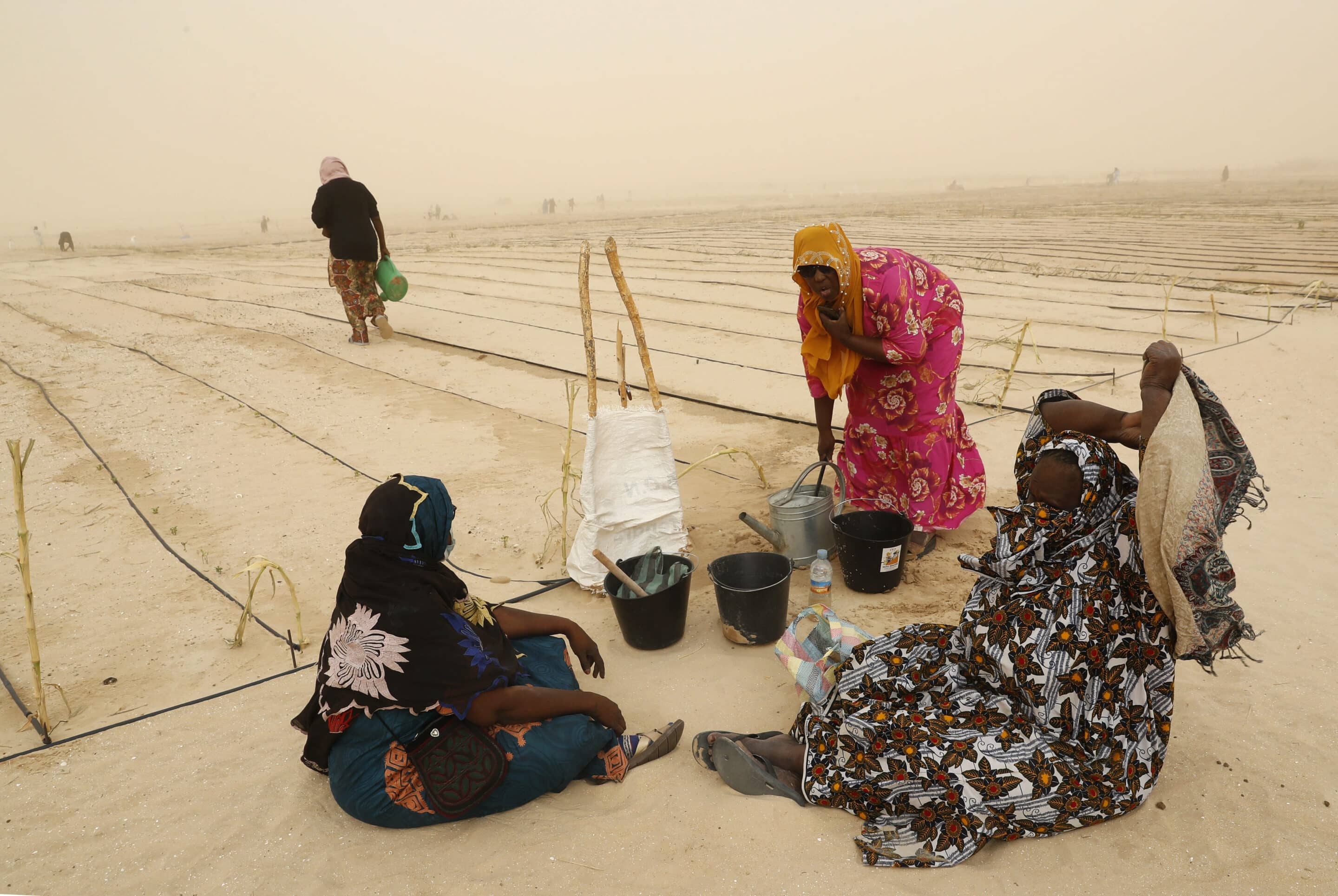 Several women work in a orchard set up in the desert. Mauritania, 02 June 2022. EFE/ Chema Moya
//EFE_20220602-b98614974edce31311d2c9bf7b8cbb0fd03f8b13/2206021501/Credit:Chema Moya/EFE/SIPA/2206021504