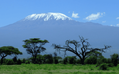 Quelles menaces le réchauffement climatique fait-il peser sur l’Afrique ?
