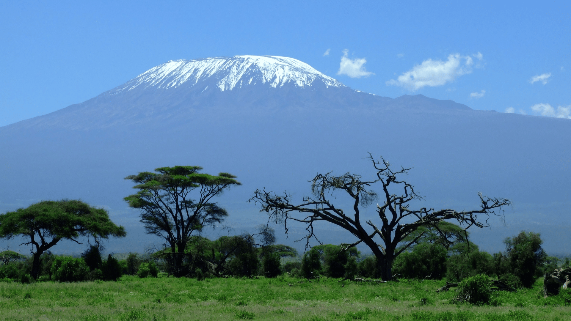 Quelles menaces le réchauffement climatique fait-il peser sur l’Afrique ?