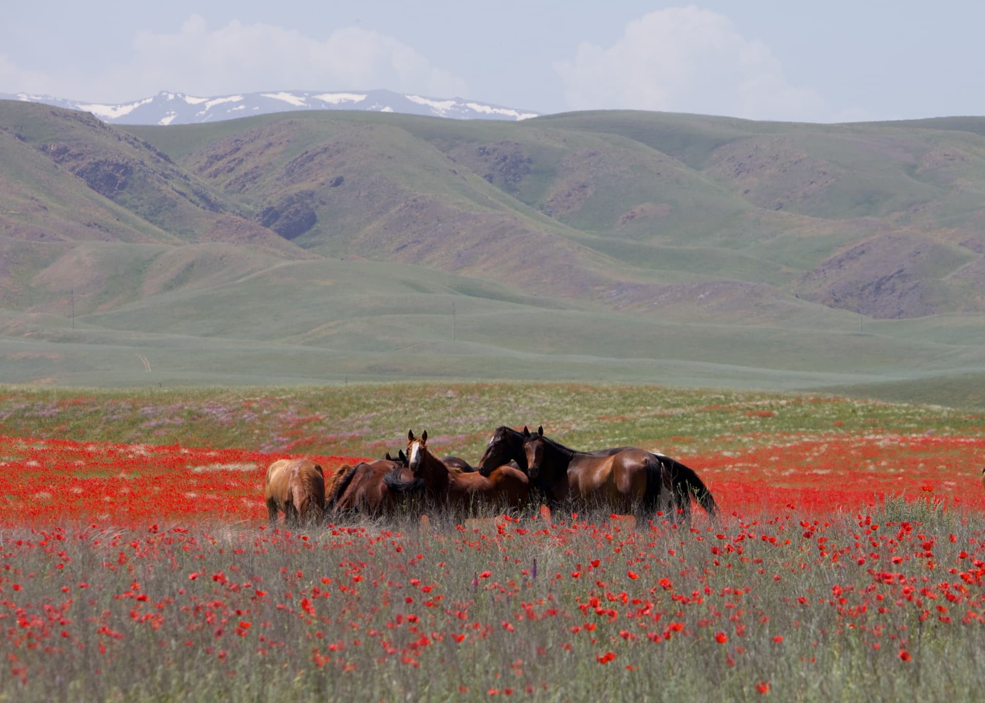 <i class='fa fa-lock' aria-hidden='true'></i> Kazakhstan : le pays au cœur des steppes