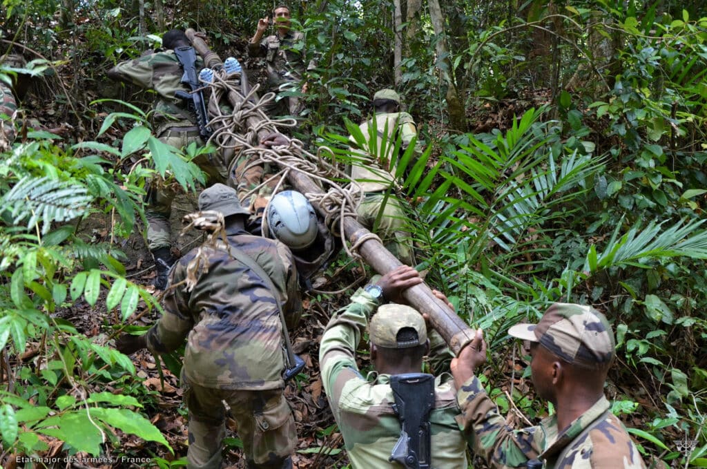 Le partenariat militaire opérationnel : un instrument au service de la protection du milieu naturel en Afrique Le partenariat militaire opérationnel : un instrument au service de la protection du milieu naturel en Afrique