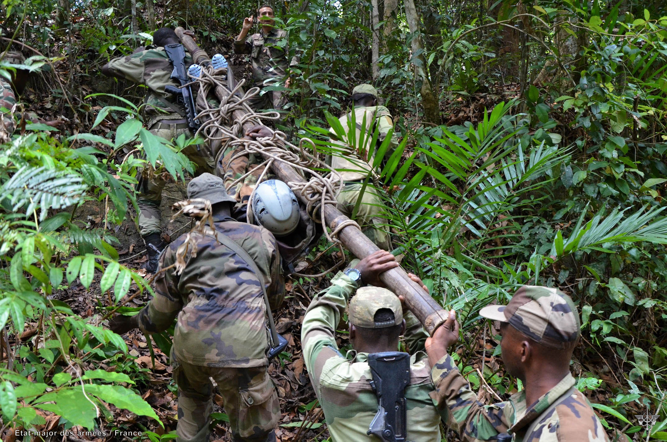 Le partenariat militaire opérationnel : un instrument au service de la  protection du milieu naturel en Afrique