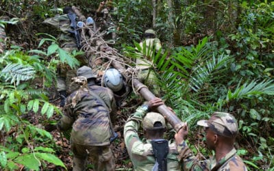 Le partenariat militaire opérationnel : un instrument au service de la protection du milieu naturel en Afrique 