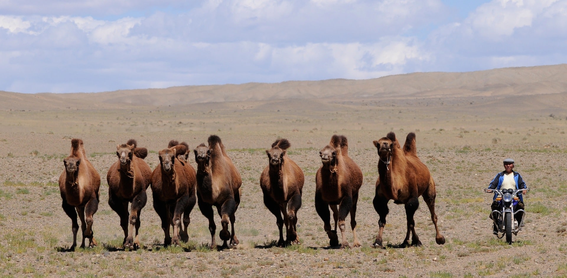Désert de Gobi en Mongolie. 
Pixabay