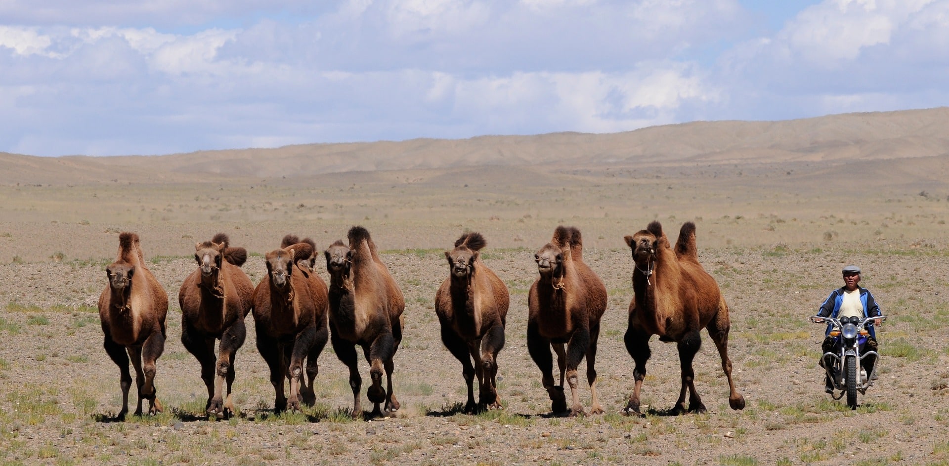 <i class='fa fa-lock' aria-hidden='true'></i> La Mongolie en marge de l’Indopacifique