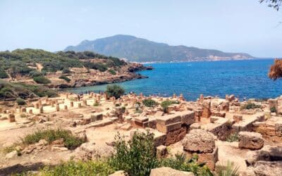 Voyage Conflits – Algérie, septembre 2023