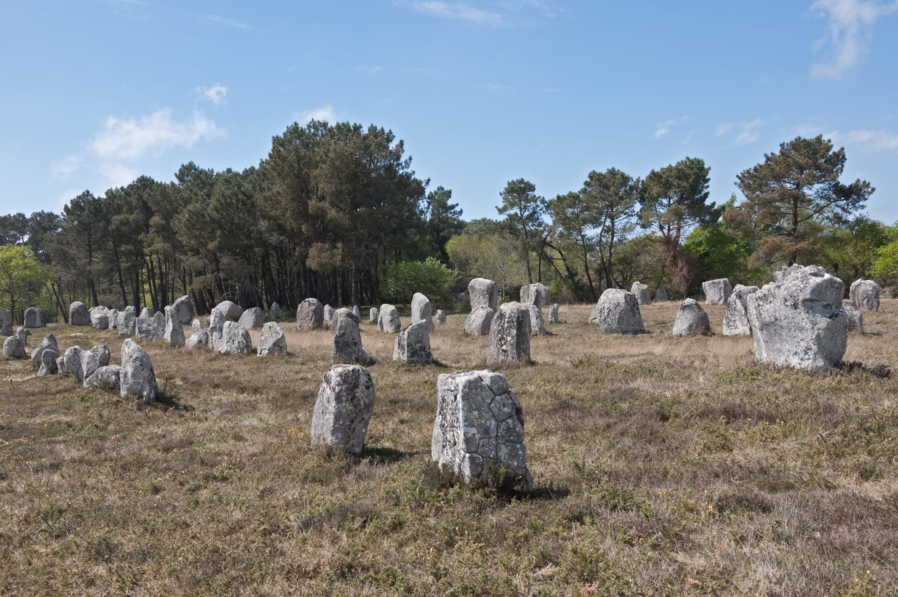 Alignement de Kerlescan, Carnac (Morbihan, Bretagne, France)