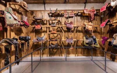 À Chantilly, le Musée vivant du cheval se réinvente