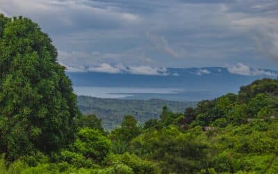 La diplomatie « verte » du Congo-Brazzaville
