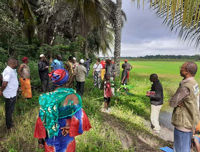 Visite en Guinée maritime d’un périmètre rizicole en zone de mangrove lors d’une mission de l’Agence française de développement. Timothée Ourbak, Fourni par l'auteur